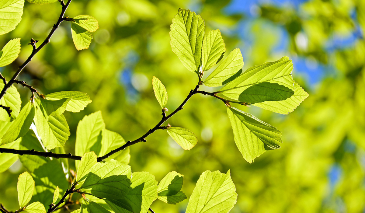 Environmentally Safe Cleaning Products by Wedodii.
Wedodii eco-friendly cleaning products in use for a sustainable cleaning solution.
This image highlights Wedodii’s commitment to sustainability by showcasing our use of environmentally safe cleaning products. We prioritise the health of both our clients and the planet by choosing non-toxic, biodegradable, and eco-friendly cleaning solutions. Our products effectively clean and disinfect without harmful chemicals, ensuring a safe, fresh environment for homes, offices, and commercial spaces. Whether for routine cleaning or specialised services, Wedodii promotes cleaner spaces and a cleaner planet with every service we provide. Choose Wedodii for a greener, healthier clean that aligns with your eco-conscious values.
eco-friendly cleaning products, Wedodii green cleaning, environmentally safe cleaning, sustainable cleaning solutions, biodegradable cleaning products, non-toxic cleaning services, eco-conscious cleaning company, chemical-free cleaning, sustainable home cleaning, green cleaning services